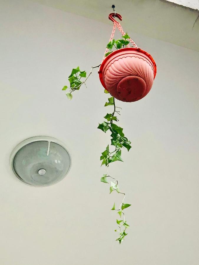 Wakawaka Hostel 阿鲁沙 外观 照片